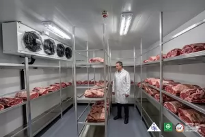 Bisnis Makanan Beku: Peluang Besar di Tengah Tren Hidup Praktis